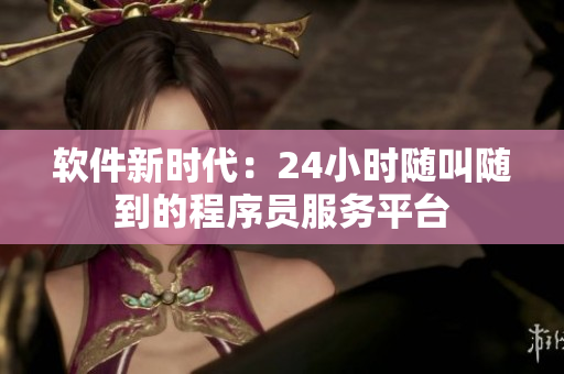 软件新时代：24小时随叫随到的程序员服务平台