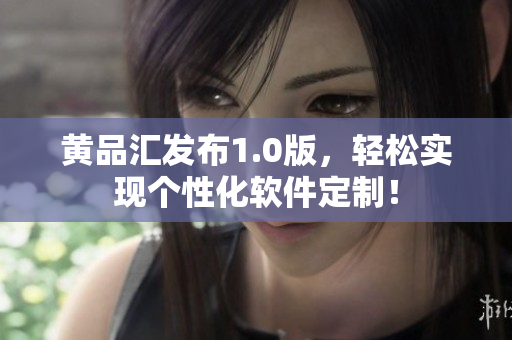 黄品汇发布1.0版，轻松实现个性化软件定制！