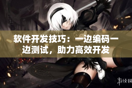 软件开发技巧：一边编码一边测试，助力高效开发