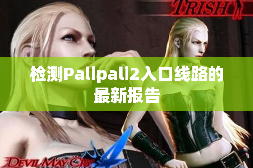 检测Palipali2入口线路的最新报告