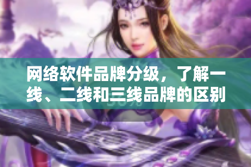 网络软件品牌分级，了解一线、二线和三线品牌的区别！