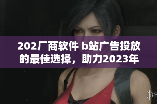 202厂商软件 b站广告投放的最佳选择，助力2023年网络软件推广