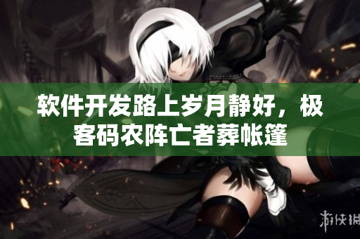 软件开发路上岁月静好，极客码农阵亡者葬帐篷