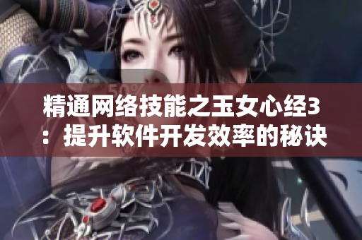 精通网络技能之玉女心经3：提升软件开发效率的秘诀