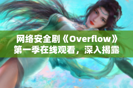 网络安全剧《Overflow》第一季在线观看，深入揭露软件漏洞与黑客攻击！