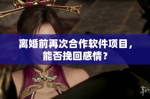 离婚前再次合作软件项目，能否挽回感情？