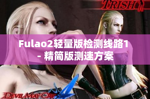 Fulao2轻量版检测线路1 - 精简版测速方案