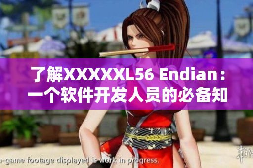 了解XXXXXL56 Endian：一个软件开发人员的必备知识