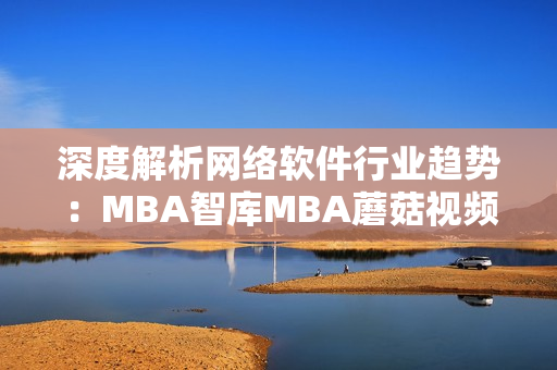 深度解析网络软件行业趋势：MBA智库MBA蘑菇视频分享关键洞察