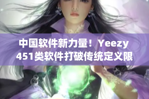 中国软件新力量！Yeezy 451类软件打破传统定义限制