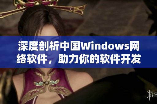 深度剖析中国Windows网络软件，助力你的软件开发之路