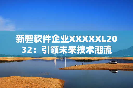 新疆软件企业XXXXXL2032：引领未来技术潮流