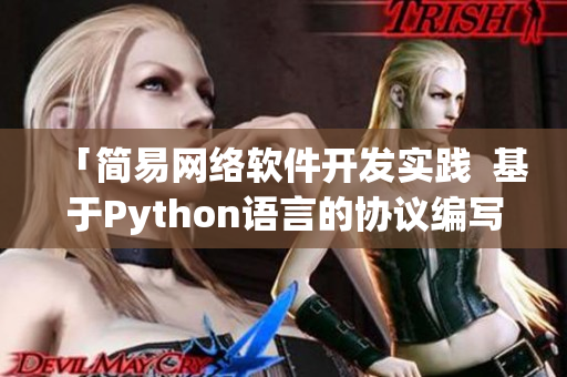 「简易网络软件开发实践  基于Python语言的协议编写与调试」