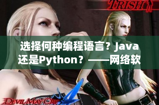 选择何种编程语言？Java还是Python？——网络软件相关问题探讨