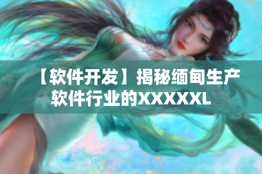 【软件开发】揭秘缅甸生产软件行业的XXXXXL