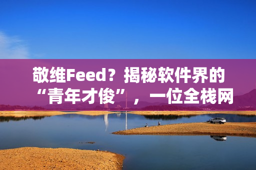 敬维Feed？揭秘软件界的“青年才俊”，一位全栈网络软件编辑的视角！