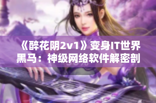 《醉花阴2v1》变身IT世界黑马：神级网络软件解密剖析！