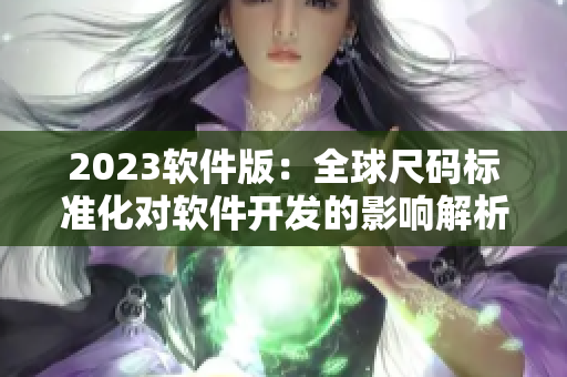 2023软件版：全球尺码标准化对软件开发的影响解析