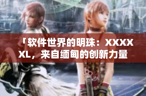 「软件世界的明珠：XXXXXL，来自缅甸的创新力量」