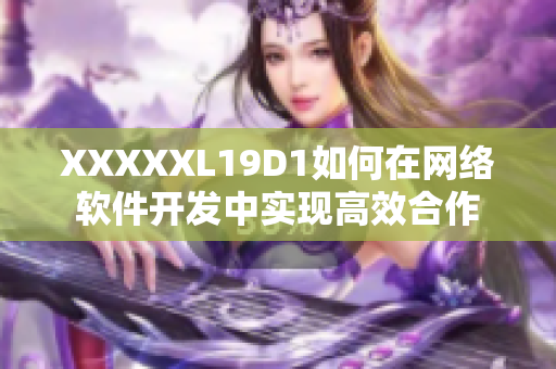 XXXXXL19D1如何在网络软件开发中实现高效合作