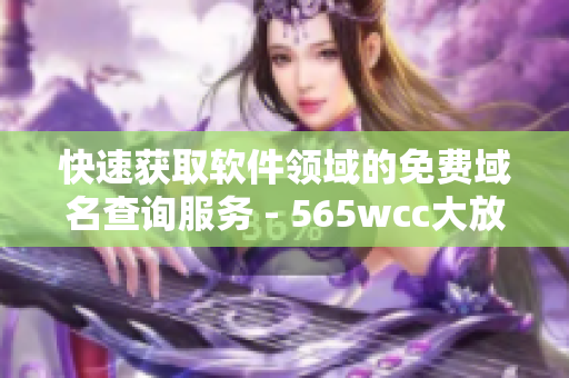 快速获取软件领域的免费域名查询服务 - 565wcc大放异彩！