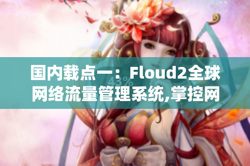 国内载点一：Floud2全球网络流量管理系统,掌控网络实时状态