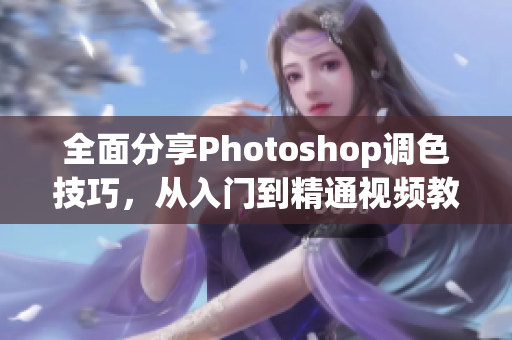 全面分享Photoshop调色技巧，从入门到精通视频教程一应俱全