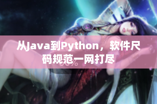 从Java到Python，软件尺码规范一网打尽