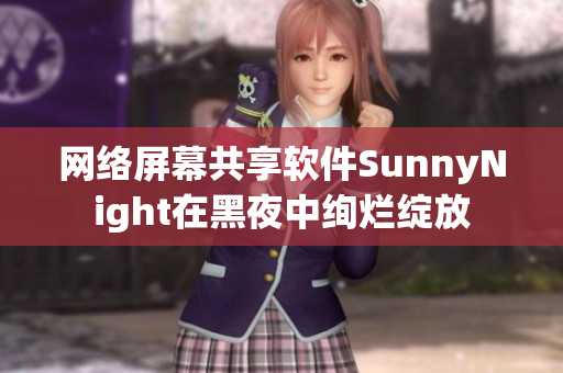 网络屏幕共享软件SunnyNight在黑夜中绚烂绽放