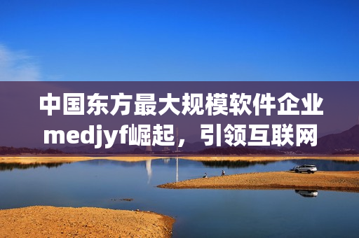 中国东方最大规模软件企业medjyf崛起，引领互联网时代