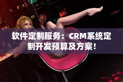 软件定制服务：CRM系统定制开发预算及方案！