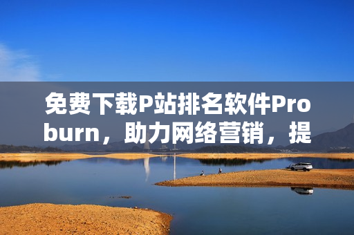 免费下载P站排名软件Proburn，助力网络营销，提升流量！