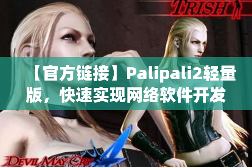 【官方链接】Palipali2轻量版，快速实现网络软件开发