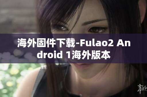 海外固件下载-Fulao2 Android 1海外版本