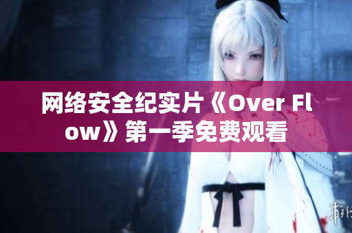 网络安全纪实片《Over Flow》第一季免费观看