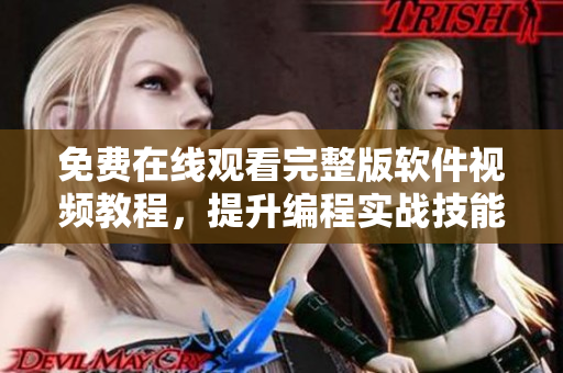 免费在线观看完整版软件视频教程，提升编程实战技能