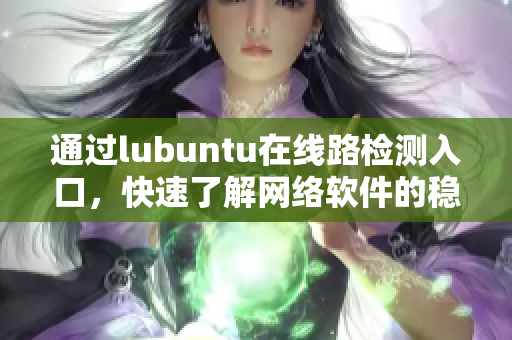 通过lubuntu在线路检测入口，快速了解网络软件的稳定性与安全性