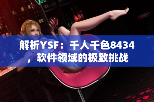 解析YSF：千人千色8434，软件领域的极致挑战
