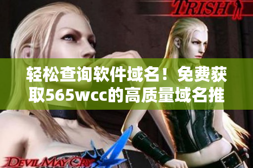 轻松查询软件域名！免费获取565wcc的高质量域名推荐