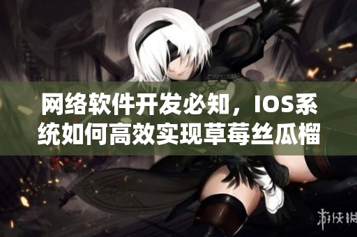 网络软件开发必知，IOS系统如何高效实现草莓丝瓜榴莲污无限看