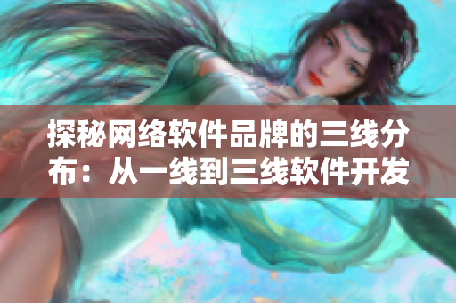 探秘网络软件品牌的三线分布：从一线到三线软件开发公司有什么不同？