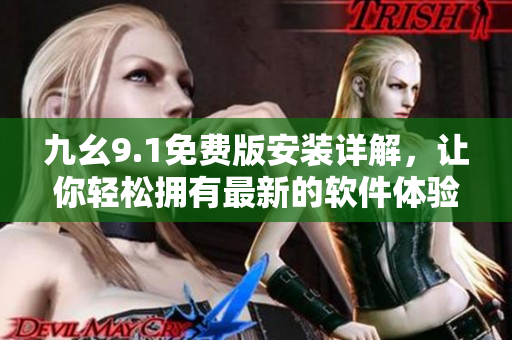 九幺9.1免费版安装详解，让你轻松拥有最新的软件体验