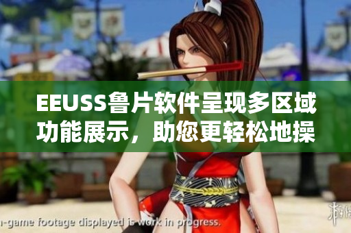 EEUSS鲁片软件呈现多区域功能展示，助您更轻松地操作