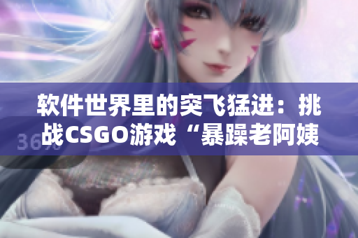 软件世界里的突飞猛进：挑战CSGO游戏“暴躁老阿姨”的集结