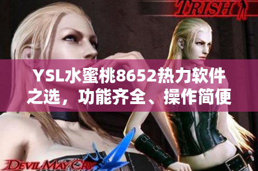 YSL水蜜桃8652热力软件之选，功能齐全、操作简便