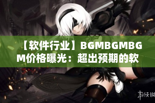 【软件行业】BGMBGMBGM价格曝光：超出预期的软件编写利器！