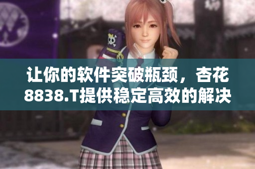 让你的软件突破瓶颈，杏花8838.T提供稳定高效的解决方案